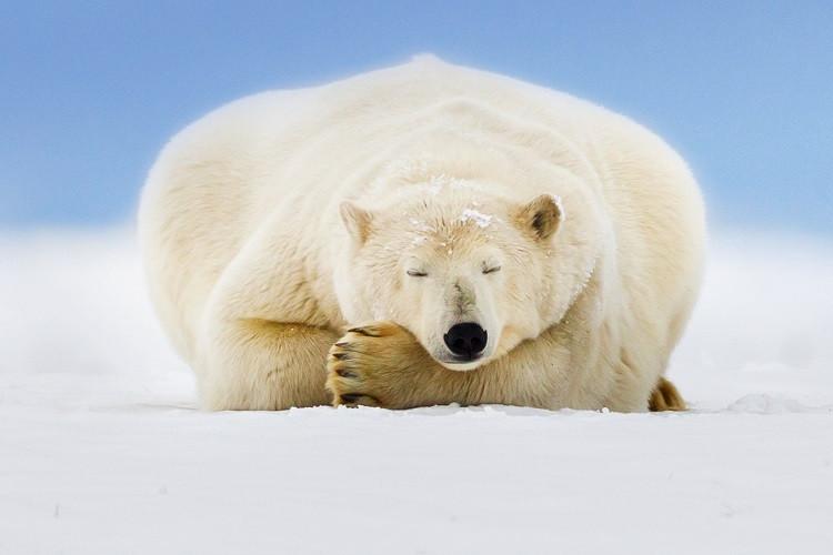 How not to oversleep during Winters
